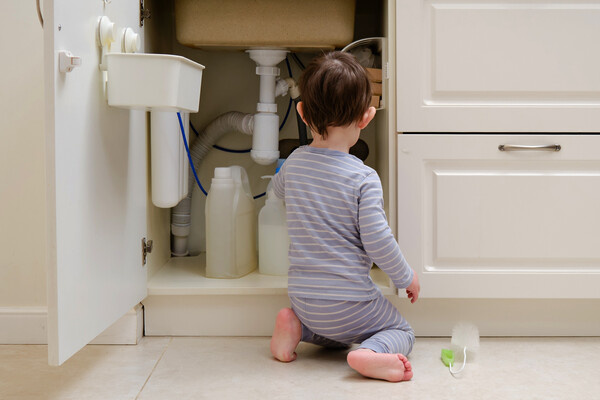 Zhuravlev Andrey/Shutterstock/FOTODOM   📷