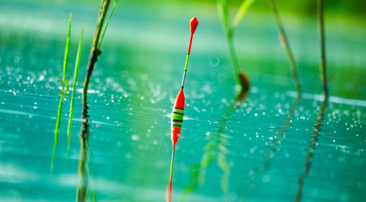 Поплавок в стоячей воде должен быть правильно огружен