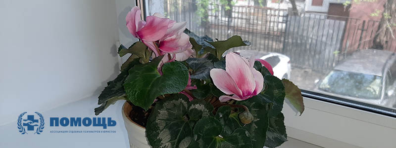 Подоконник в медцентре