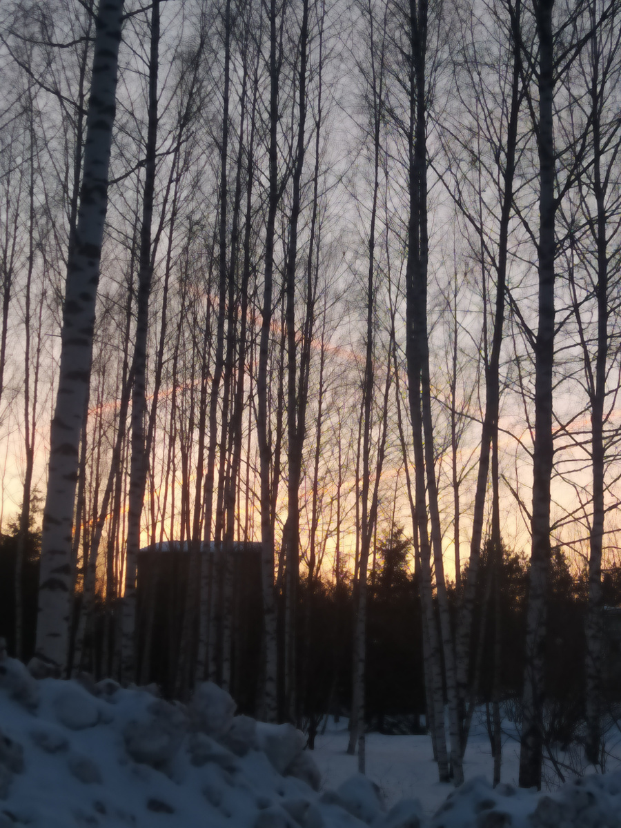 Закат в санатории.  Снега в лесу ещё очень много