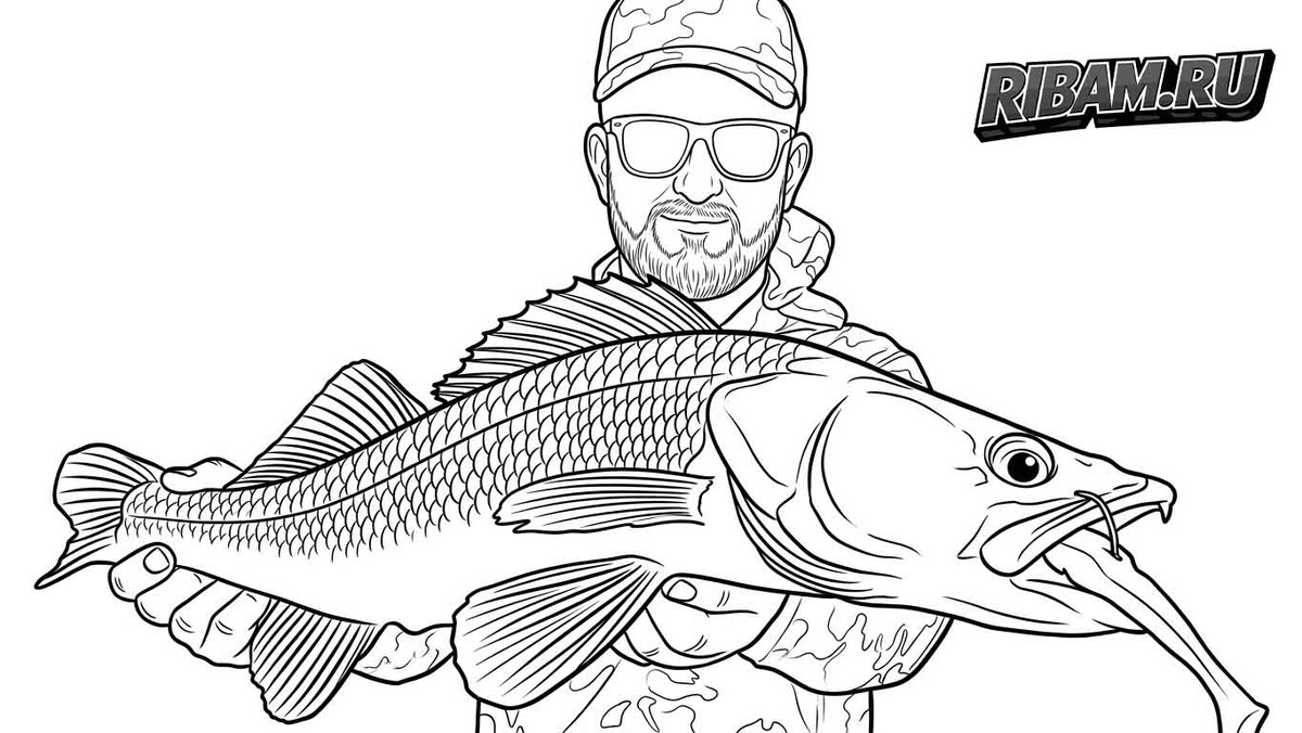 судак на джиг спиннинг