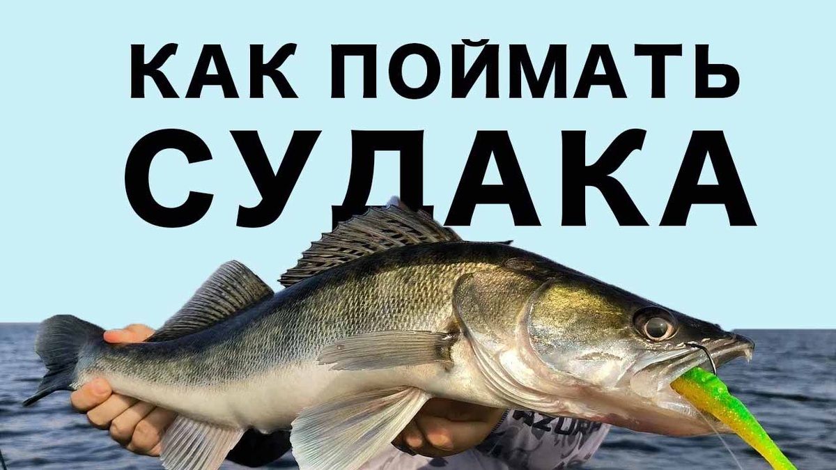 как поймать судака на джиг