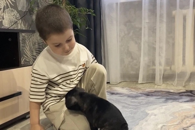    Четырехлетний Арсений с мамой написали письмо на прямую линию с Владимиром Путиным.