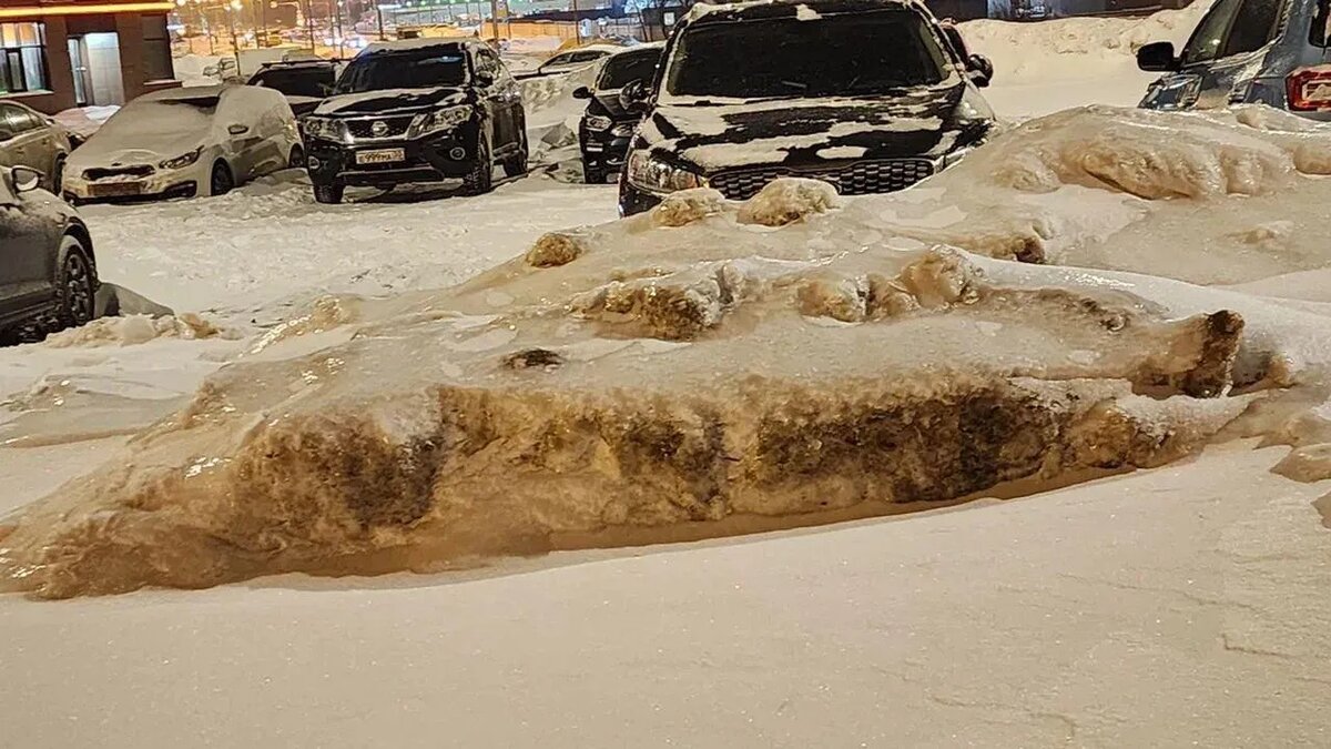 / Фото: REGIONS/Наталья Надточая