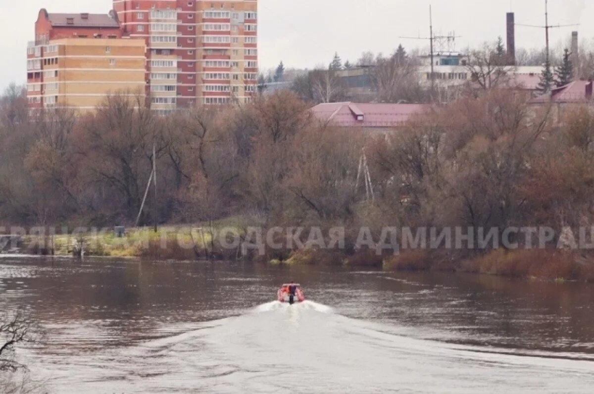    Мэрия Брянска ввела в городе режим повышенной готовности