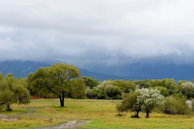     © РИА Новости. Игорь Онучин