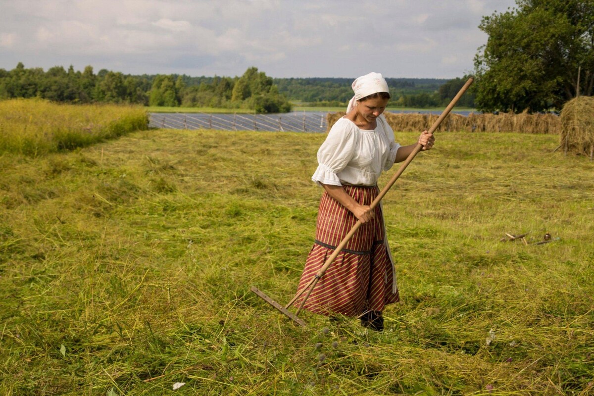 Взято из открытых источников интернета Яндекс.