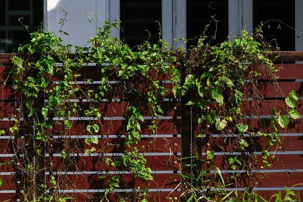    Источник: lenta.ru/ Анна Сычева