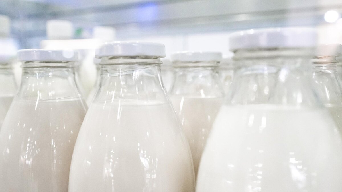    Фото: ИЗВЕСТИЯ/Анна Селина