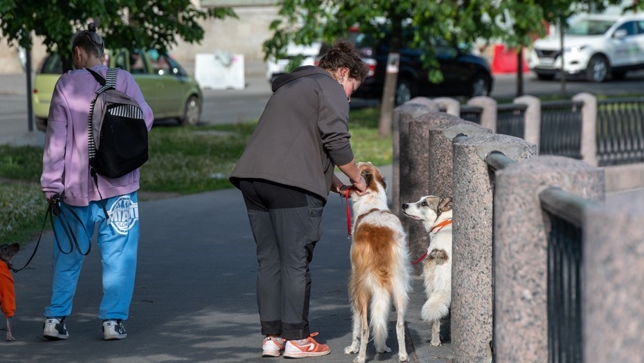    Автор фото: Тихонов Михаил/"ДП"