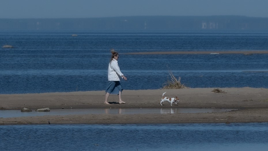    Автор фото: Тихонов Михаил/"ДП"