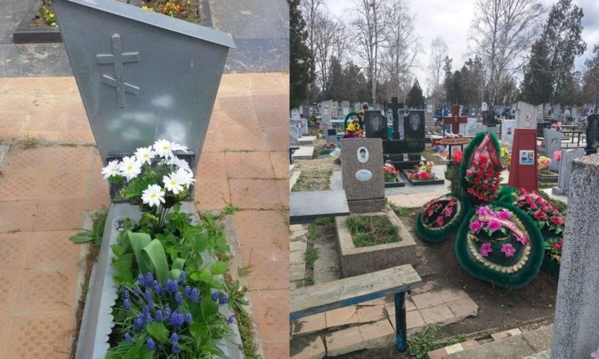    Фото "Кубань 24"