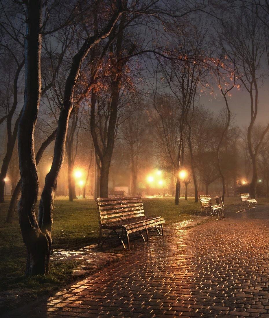 фото из интернета