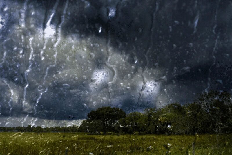    Фото: medias24.com