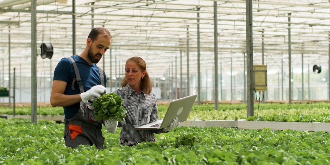 Россельхозбанк и Российская академия наук будут готовить кадры для АПК