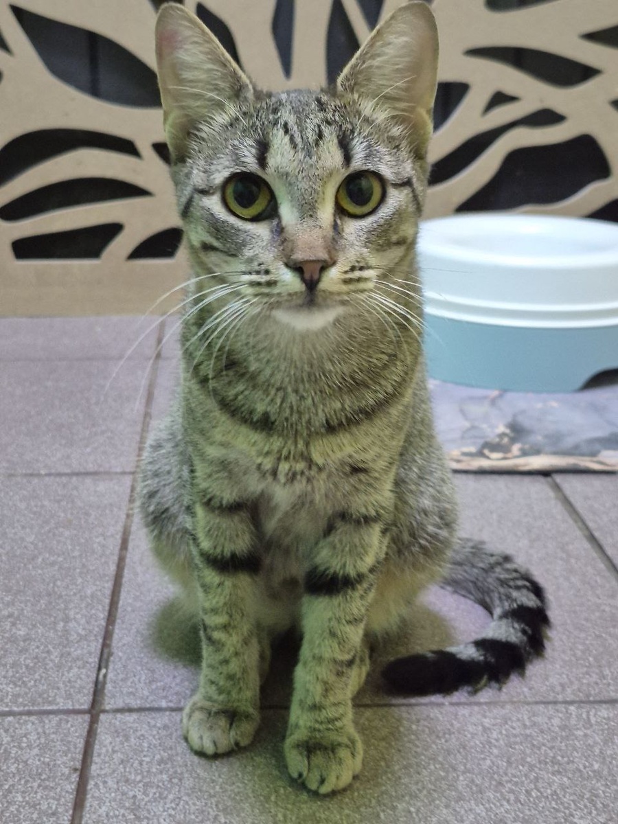 Привет. И снова я тут ищу дом