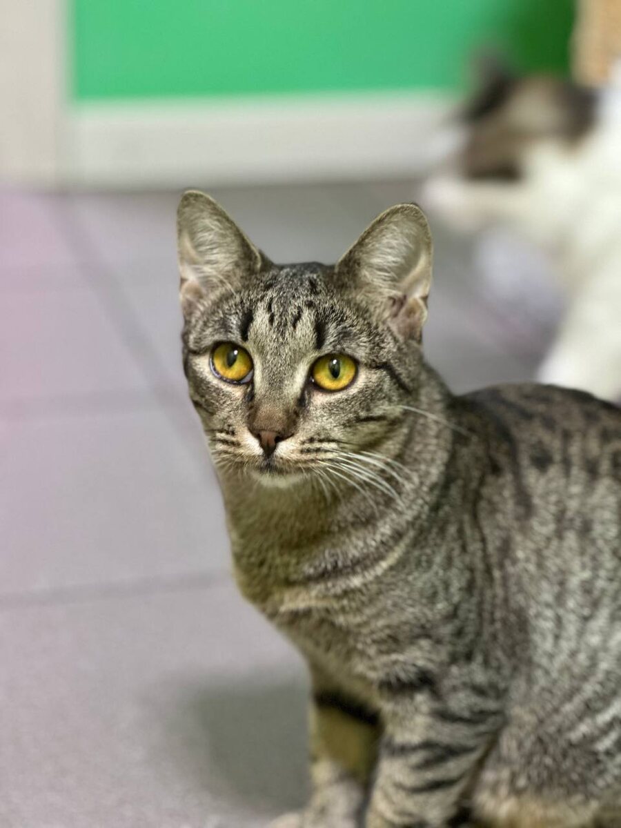 Год?? Да ладно!