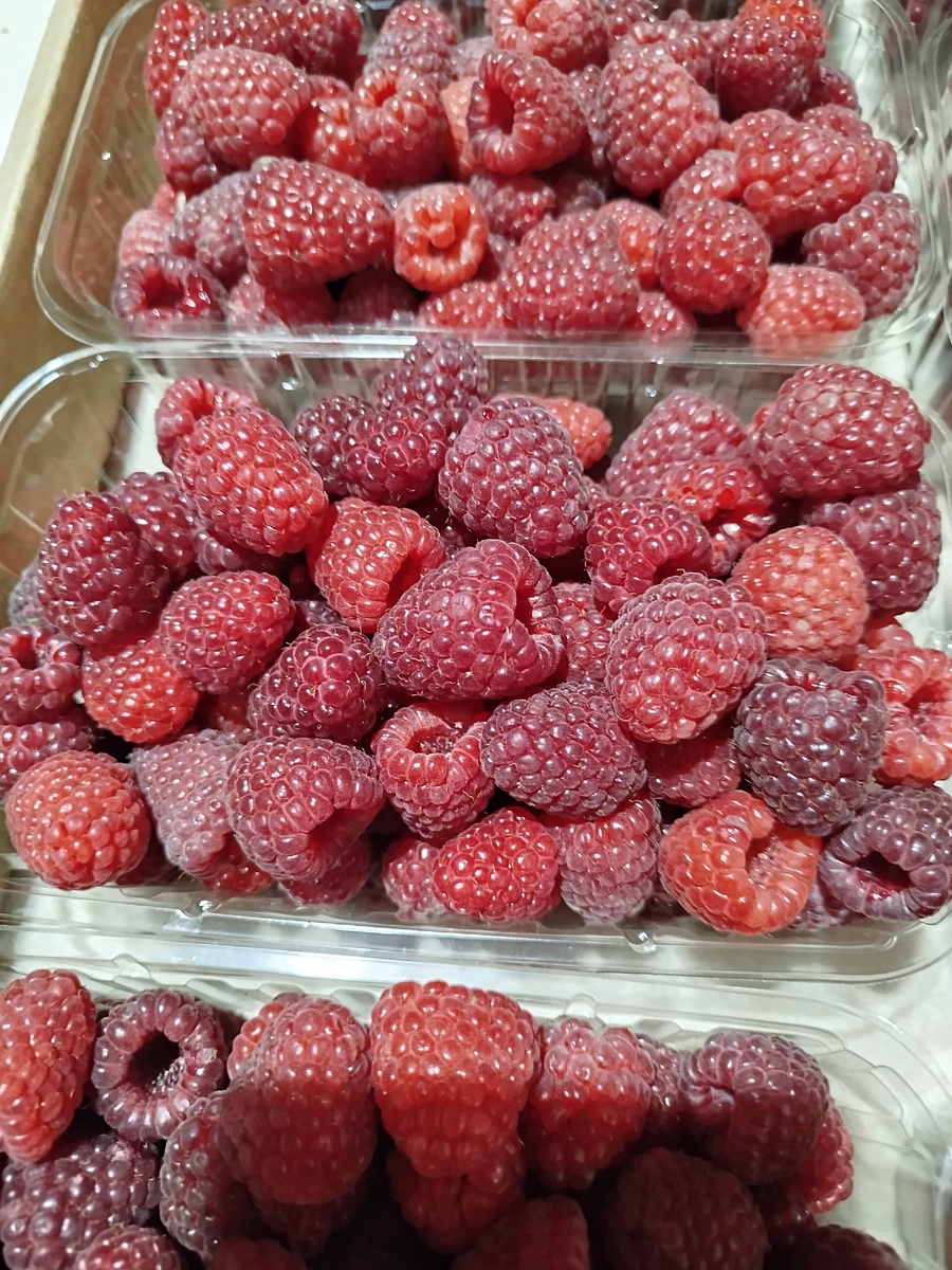 Это сорт "Подарок Кашину", вкусный, транспортабельный, чуть более поздний, чем "Поклон Казакову"