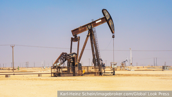     Фото: Karl-Heinz Schein/imagebroker.com/Global Look Press   
 Текст: Тимур Шайдуллин