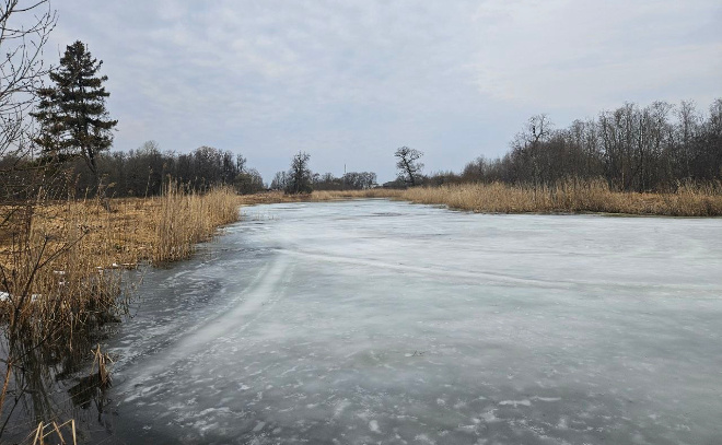    © https://t.me/tsoyvbg