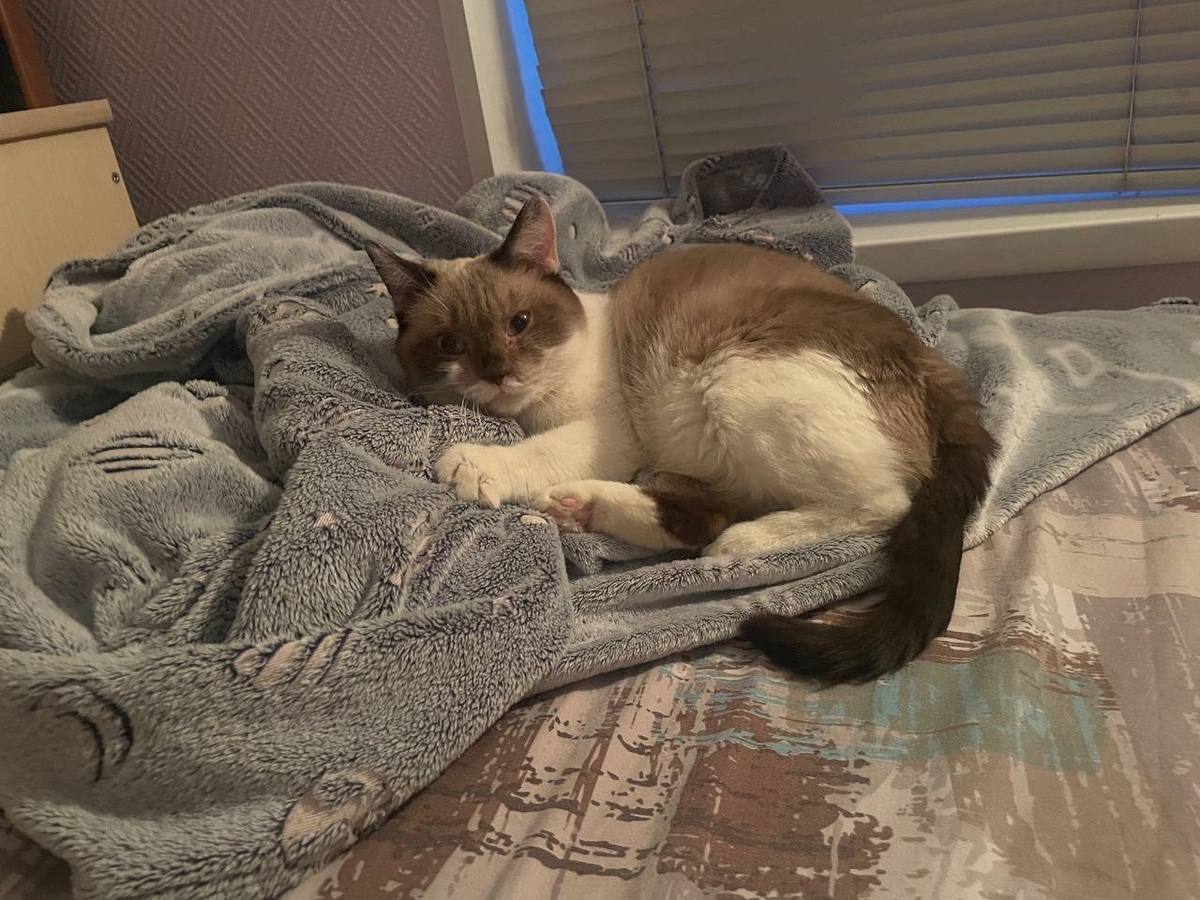 Герда дома!!!