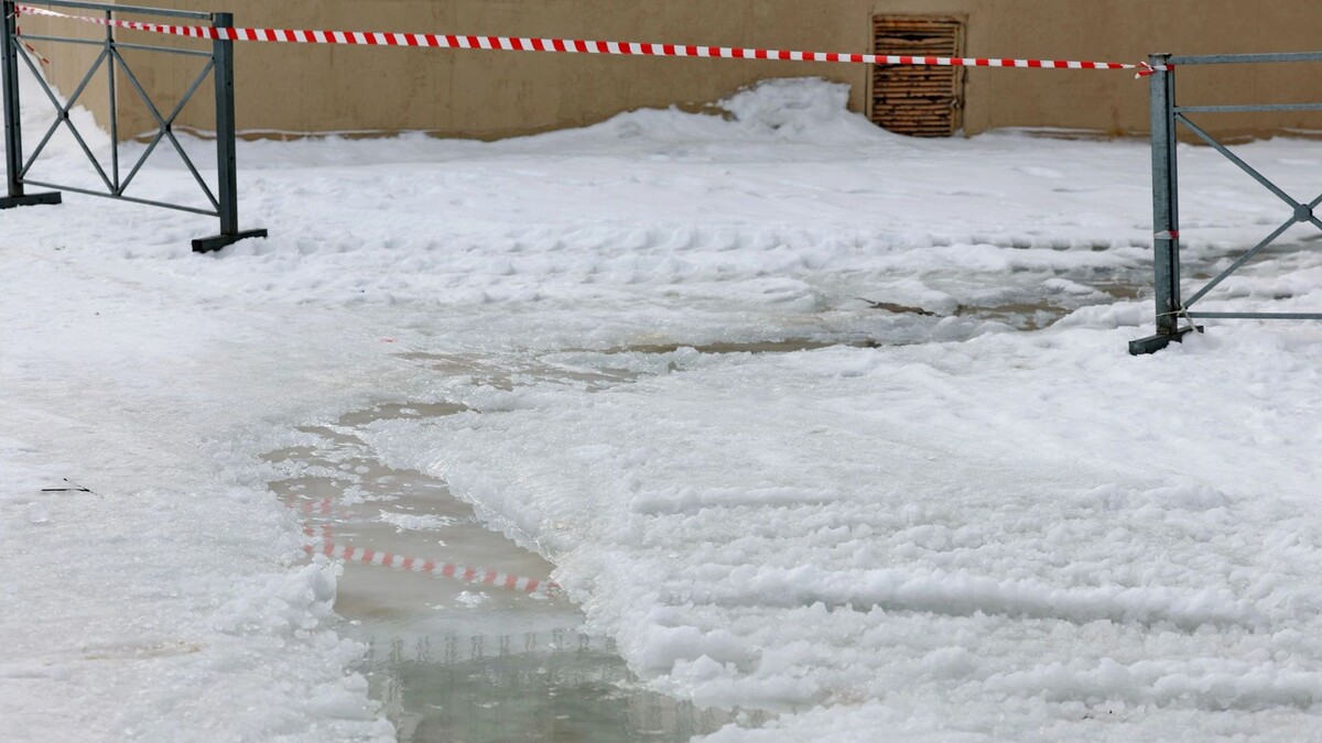    Фото: Андрей Ткачев/«Ямал-Медиа»