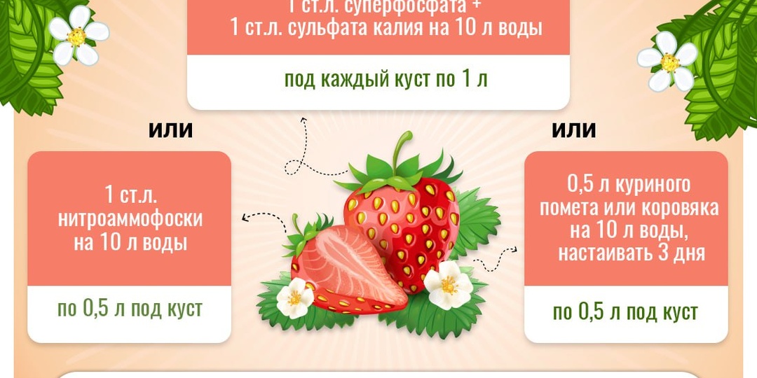 Дачнику на заметку