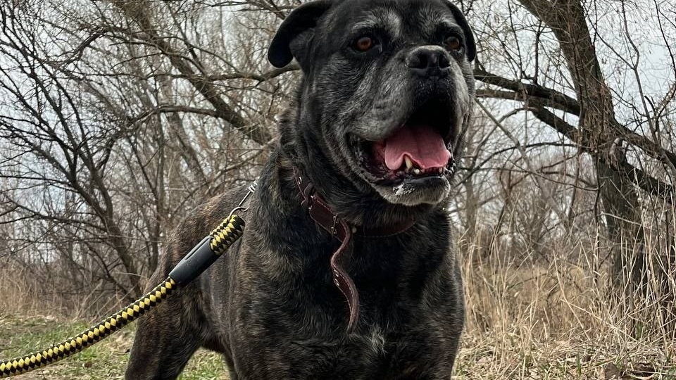 Ещё один мой шикарный мужчина