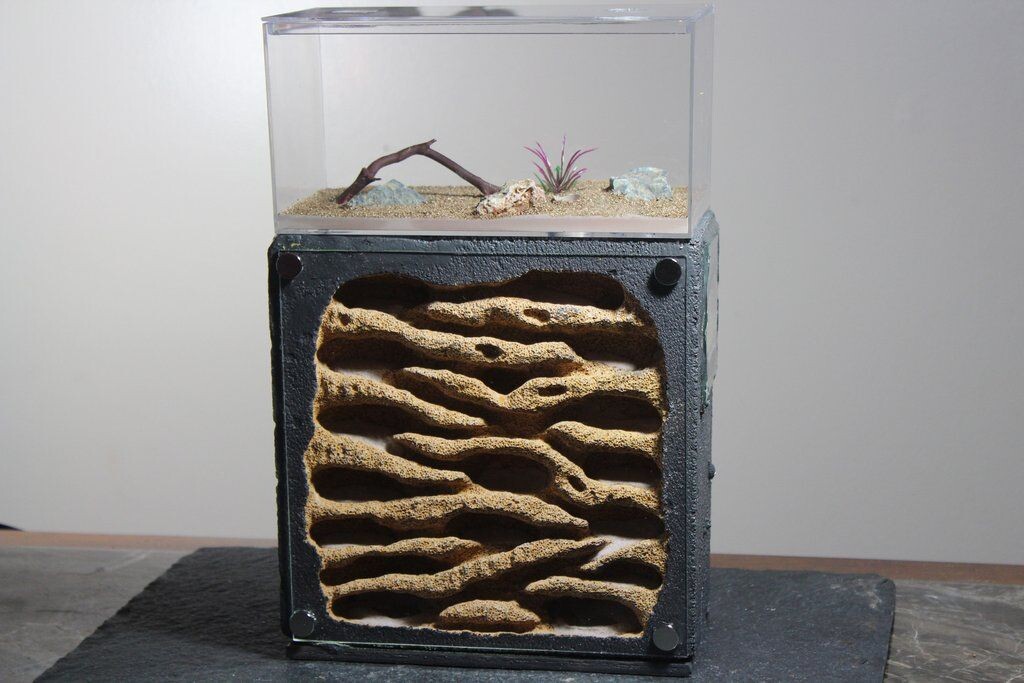 Формикарий ручной работы 