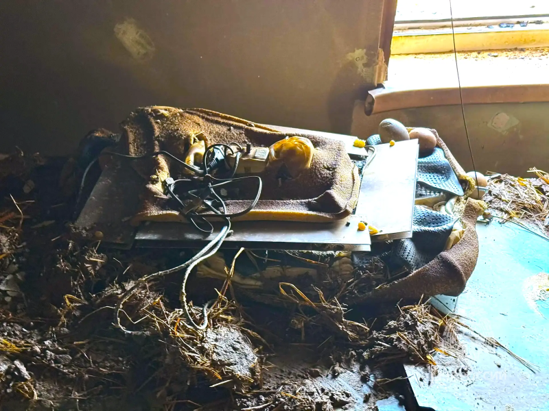     © фото - ГУ МЧС по Курской области