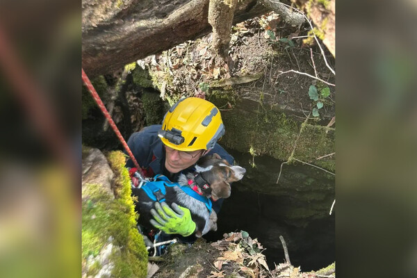 Jessamine County Fire District   📷