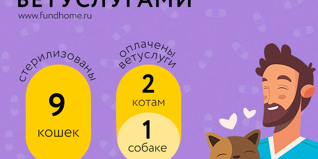 🩺🐶🐱 ВЕТОТЧЁТ ФОНДА «ДОМ»