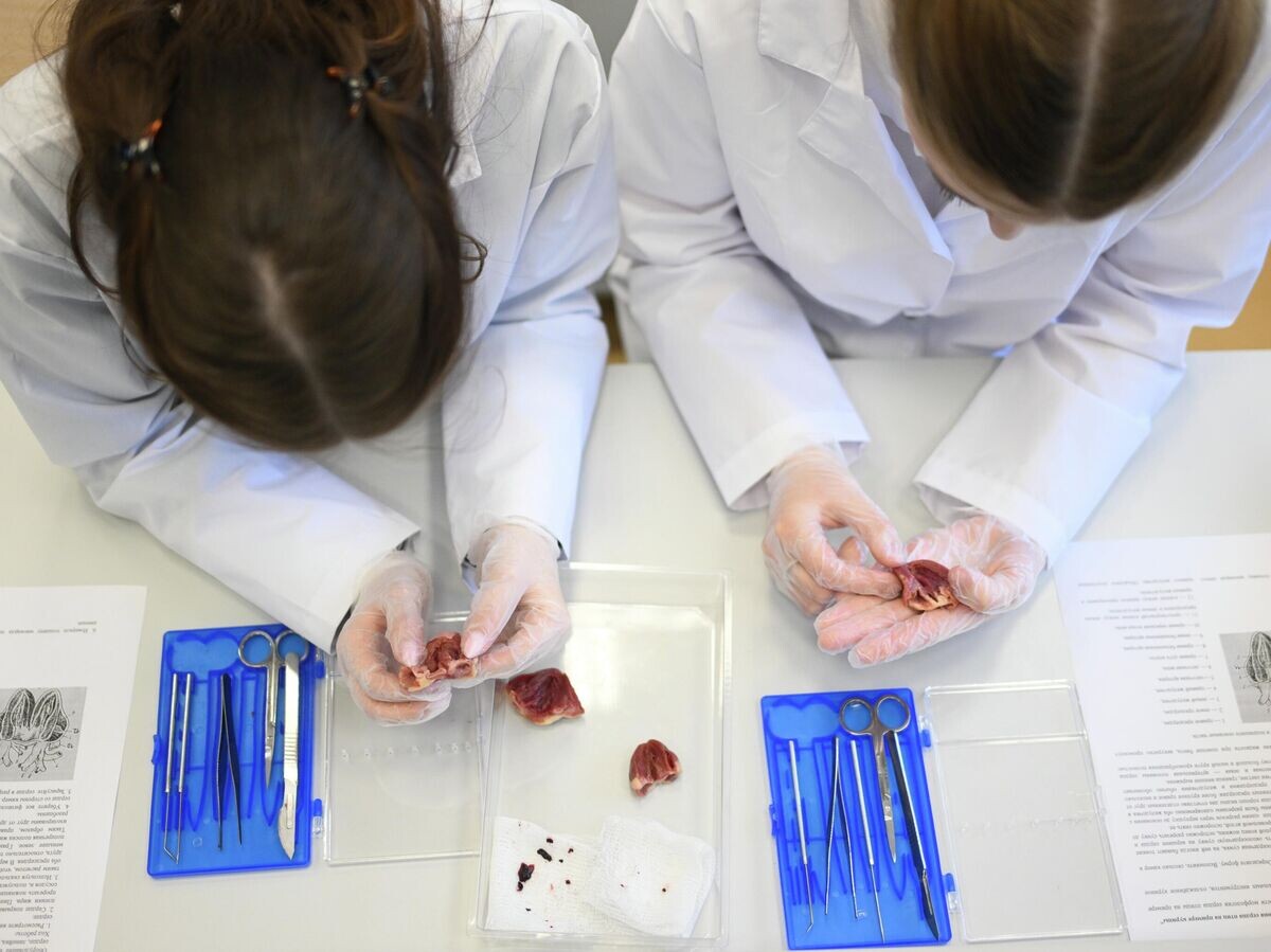    Школьницы на занятиях по биологии в аудитории нового корпуса Новосибирского экономического лицея | © РИА Новости / Александр Кряжев