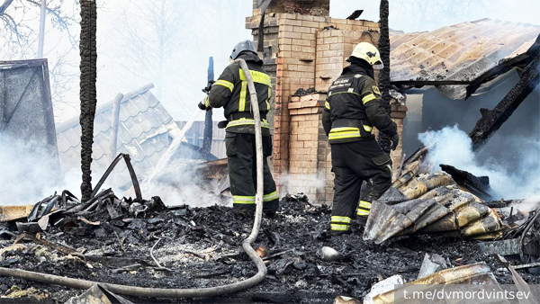     Фото: t.me/dvmordvintsev   
 Текст: Валерия Городецкая