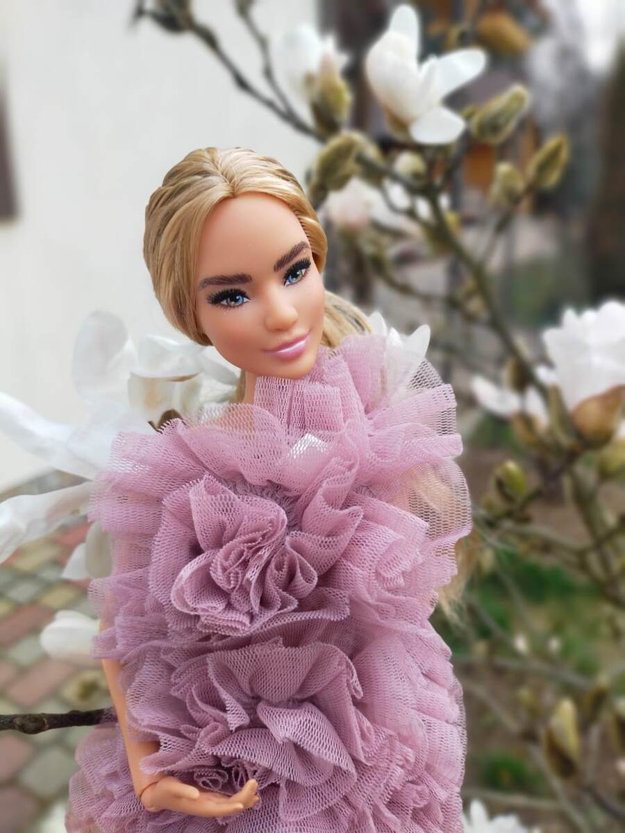 Гудзон и цветущая звёздчатая магнолия. Фото автора канала 