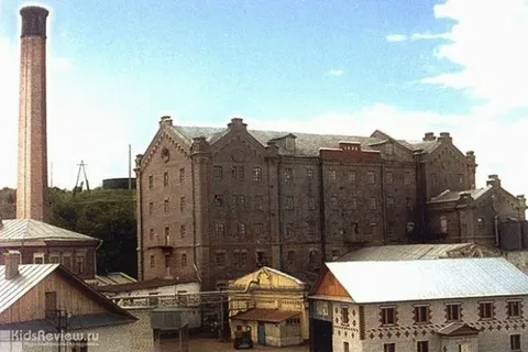 Мельница купцов Оконщиковых в Печищах