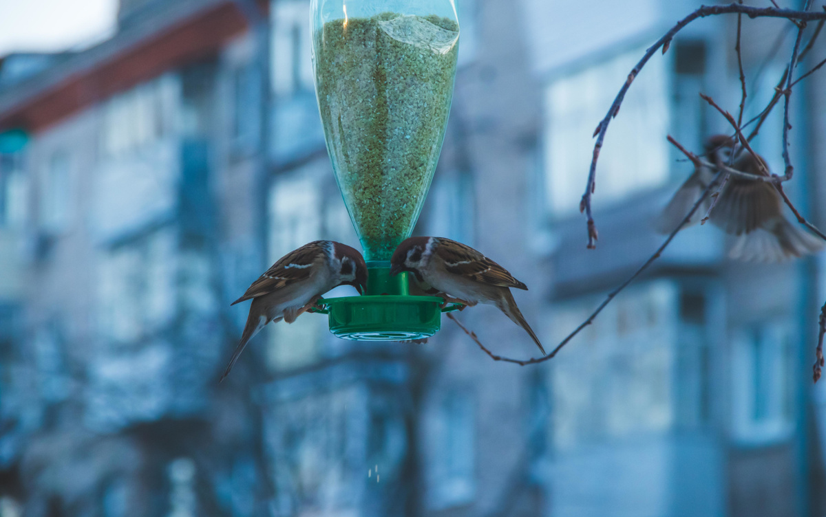    Погода в Ижевске на день: 27 марта ожидается туман, дождь и +11°С