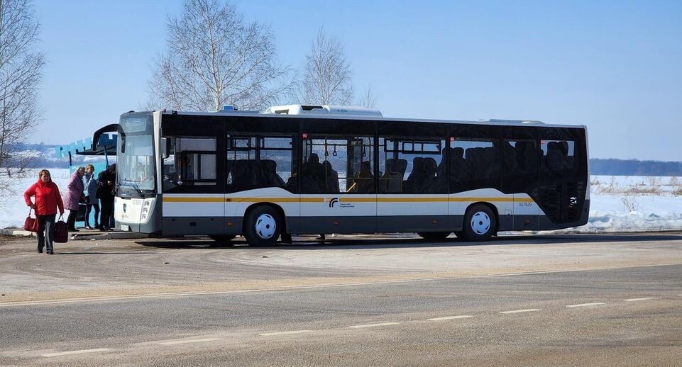    Анна Шолохова