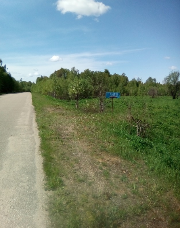 Поворот на Станище со Старой Смоленской дороги, Май 2020.