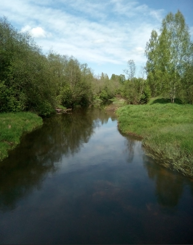 Красавица река Осьма