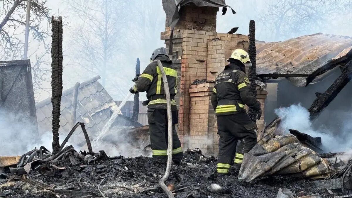    Источник: vm.ru/ Елизавета Кошелева