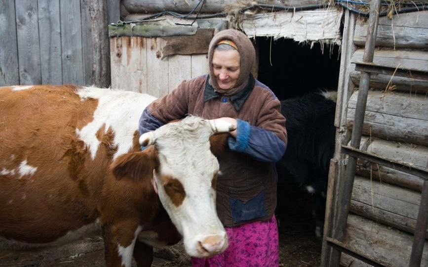 «ЗЕЛЁНЫЕ» призывают вместе защитить фермеров и граждан России, потерявших сельхозживотных