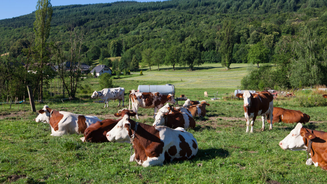    фото: wirestock / freepik.com