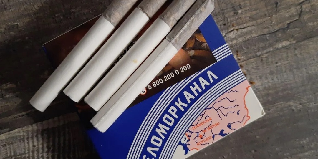 Минутка ностальгии. Пробую современные папиросы «Беломорканал»