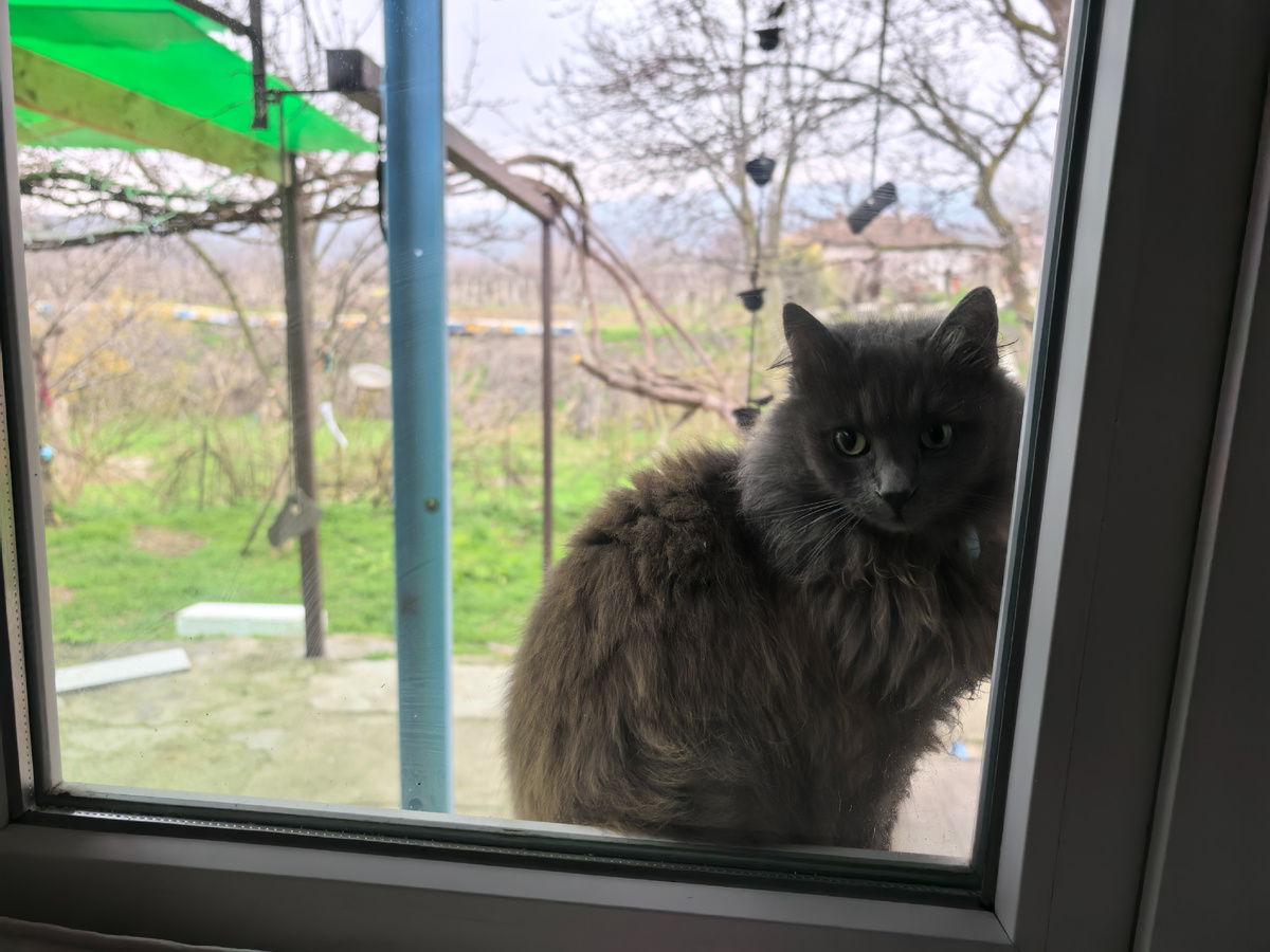 Пора вставать