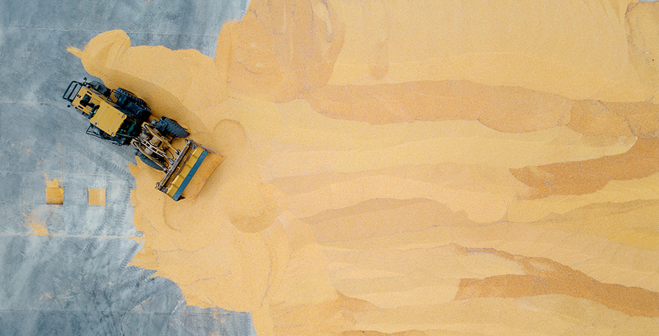 Фото: XinHua/Global Look Press