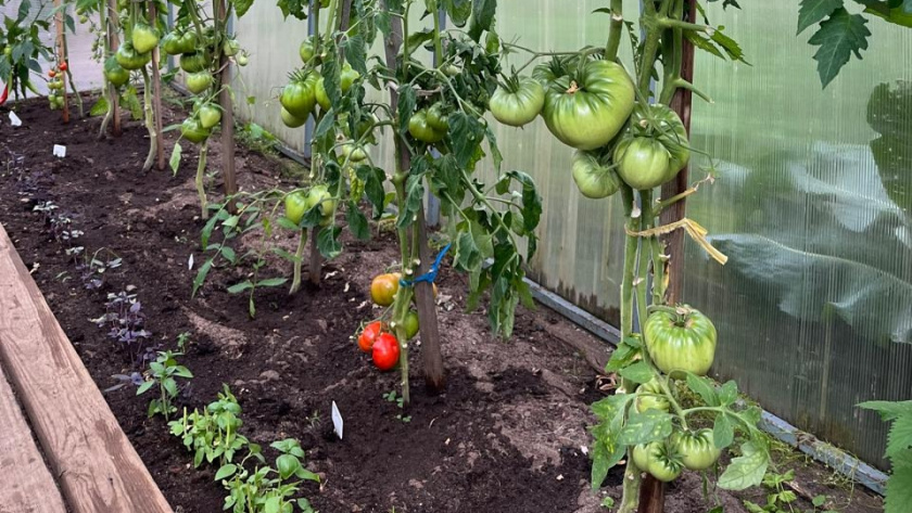    фото smilekaluga.ru