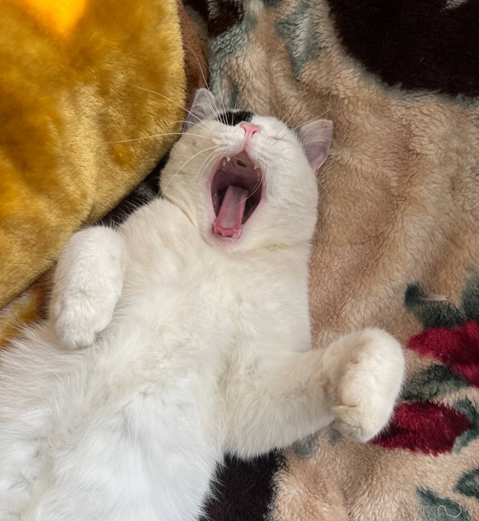 Правильный во всём)