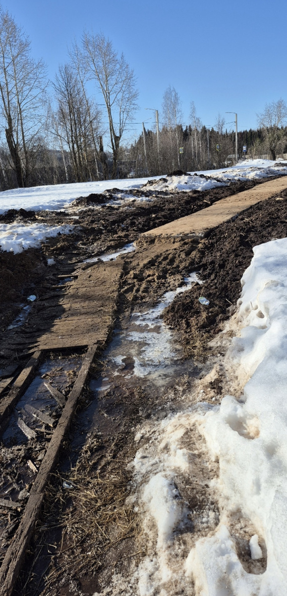    Жители Чистых Прудов просят помочь с дорогой