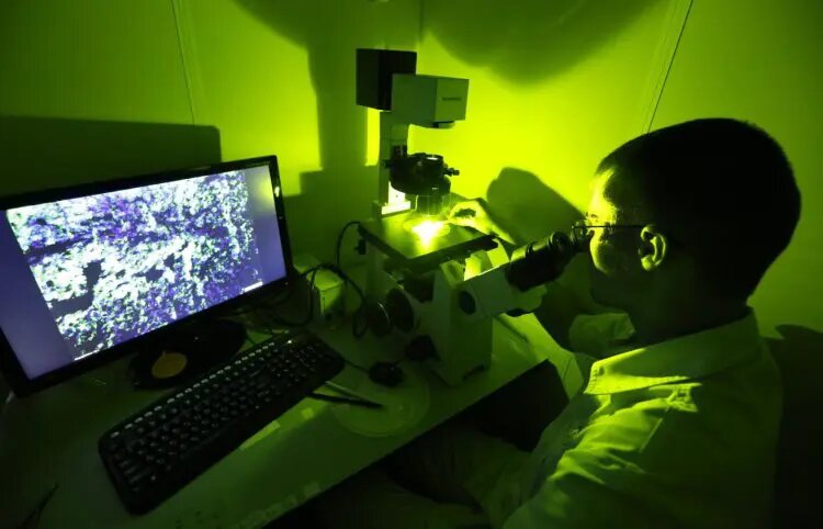    Источник: scientificrussia.ru Оксана